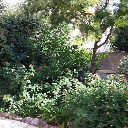 Central Avec Jardin كان المظهر الخارجي الصورة
